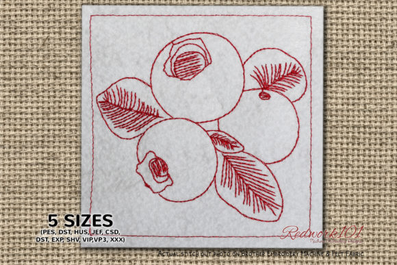 Juicy Blueberry Embroidery Design Review for Makers